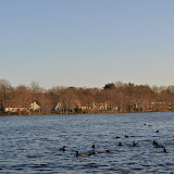 DSC_0141.JPG