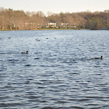 DSC_0144.JPG