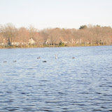 DSC_0150.JPG