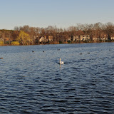 DSC_0151.JPG