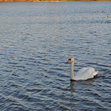 DSC_0155.JPG