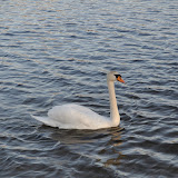 DSC_0158.JPG