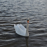 DSC_0163.JPG