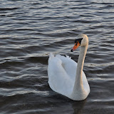 DSC_0164.JPG