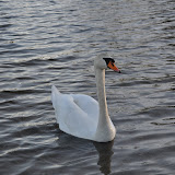 DSC_0165.JPG