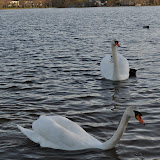 DSC_0170.JPG