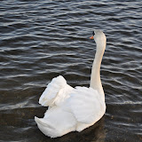DSC_0224.JPG