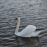 DSC_0229.JPG