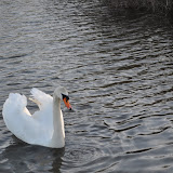 DSC_0231.JPG