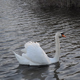DSC_0235.JPG