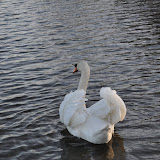 DSC_0243.JPG