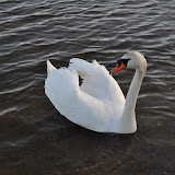 DSC_0258.JPG
