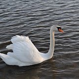 DSC_0259.JPG