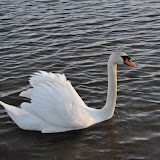 DSC_0260.JPG
