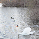 DSC_0267.JPG