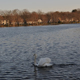 DSC_0269.JPG