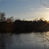 DSC_0287.JPG