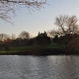 DSC_0299.JPG