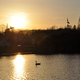 DSC_0301.JPG