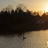 DSC_0304.JPG