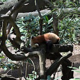 DSC_0080.JPG