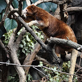 DSC_0100.JPG