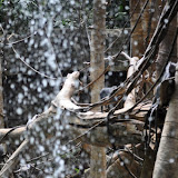 DSC_0108.JPG