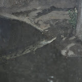 DSC_0024.JPG