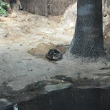 DSC_0025.JPG