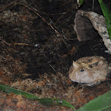 DSC_0034.JPG