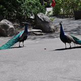 DSC_0049.JPG
