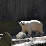 DSC_0055.JPG