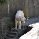 DSC_0058.JPG