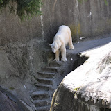 DSC_0060.JPG