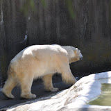 DSC_0062.JPG