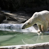 DSC_0071.JPG