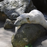 DSC_0075.JPG