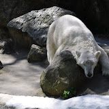 DSC_0073.JPG