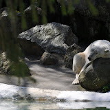 DSC_0077.JPG
