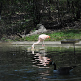 DSC_0241.JPG