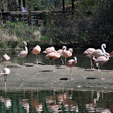 DSC_0245.JPG