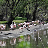 DSC_0247.JPG