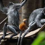 DSC_0113.JPG