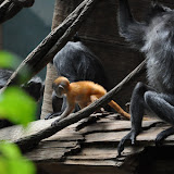 DSC_0114.JPG