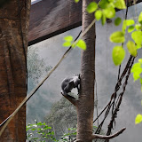 DSC_0127.JPG