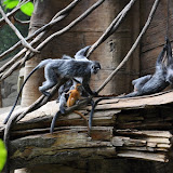 DSC_0132.JPG