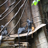 DSC_0135.JPG