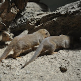 DSC_0164.JPG