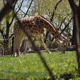 DSC_0176.JPG