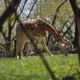 DSC_0178.JPG